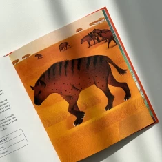 Книга Українські диковиська - Валентина Вздрульська