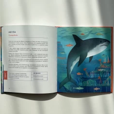 Книга Українські диковиська - Валентина Вздрульська