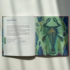 Книга Українські диковиська - Валентина Вздрульська