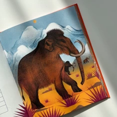 Книга Українські диковиська - Валентина Вздрульська