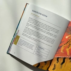 Книга Українські диковиська - Валентина Вздрульська