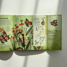 Книга Лікарі у світі Тварин - Енджі Тріус, Марк Доран