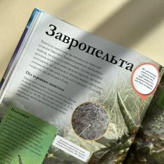 Книга Дитяча енциклопедія динозаврів та інших викопних тварин - Гібберт Клер