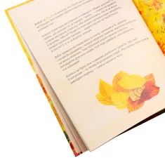 Книга Хто росте у лісі - Катерина Міхаліцина