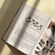 Книга Хто росте у лісі - Катерина Міхаліцина