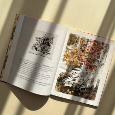 Книга Хто росте у лісі - Катерина Міхаліцина