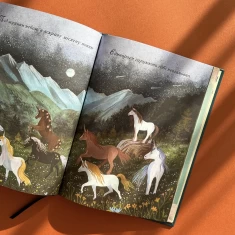 Книга Єдинороги проти монстрів - Мей Шо