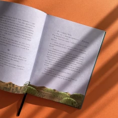 Книга Єдинороги проти монстрів - Мей Шо