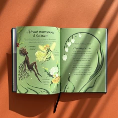 Книга Єдинороги проти монстрів - Мей Шо