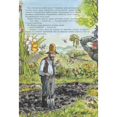 Книга Петсон, Фіндус і переполох на городі. Казка - Нордквіст Свен