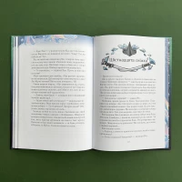 Книга Викрадачі снігу - Нікуліна Анастасія