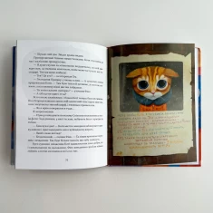 Книга Єнотик Бо і дивний-дивний сніг - Ірина Лазуткіна