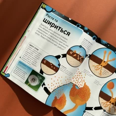 Книга Небачені бактерії -  Стів Молд