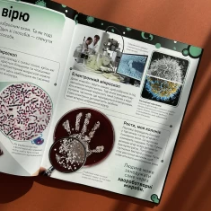 Книга Небачені бактерії -  Стів Молд