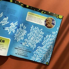 Книга Небачені бактерії -  Стів Молд