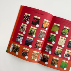 Книга Ґруффало. Осінніми та зимовими стежками