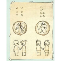 Книга Не в капусті й не лелека - Анна Герцог Книга Не в капусті й не лелека - Анна Герцог
