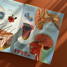 Книга Твоє тіло. Цікаве всередині - Елеонора Барзотті