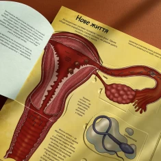 Книга Твоє тіло. Цікаве всередині - Елеонора Барзотті