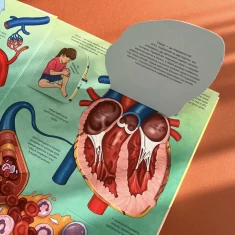 Книга Твоє тіло. Цікаве всередині - Елеонора Барзотті