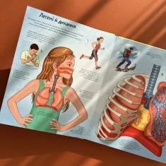 Книга Твоє тіло. Цікаве всередині - Елеонора Барзотті