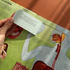 Книга Твоє тіло. Цікаве всередині - Елеонора Барзотті