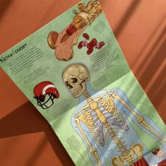 Книга Твоє тіло. Цікаве всередині - Елеонора Барзотті