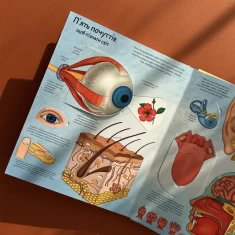 Книга Твоє тіло. Цікаве всередині - Елеонора Барзотті