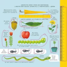 Книга Одиниці вимірювання