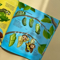 Книга Як живуть крихітні створіння - Барзотті Елеонора