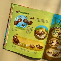 Книга Як живуть крихітні створіння - Барзотті Елеонора