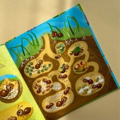 Книга Як живуть крихітні створіння - Барзотті Елеонора