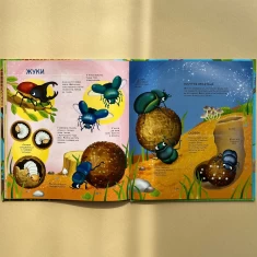 Книга Як живуть крихітні створіння - Барзотті Елеонора