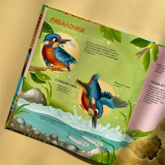 Книга Як живуть крихітні створіння - Барзотті Елеонора