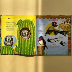 Книга Як живуть крихітні створіння - Барзотті Елеонора