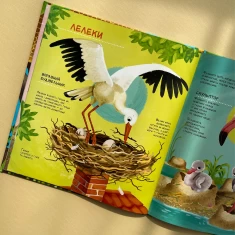 Книга Як живуть крихітні створіння - Барзотті Елеонора