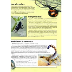 Книга Велика книга комах - Рубен Дуро Книга Велика книга комах - Рубен Дуро