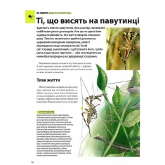 Книга Велика книга комах - Рубен Дуро Книга Велика книга комах - Рубен Дуро