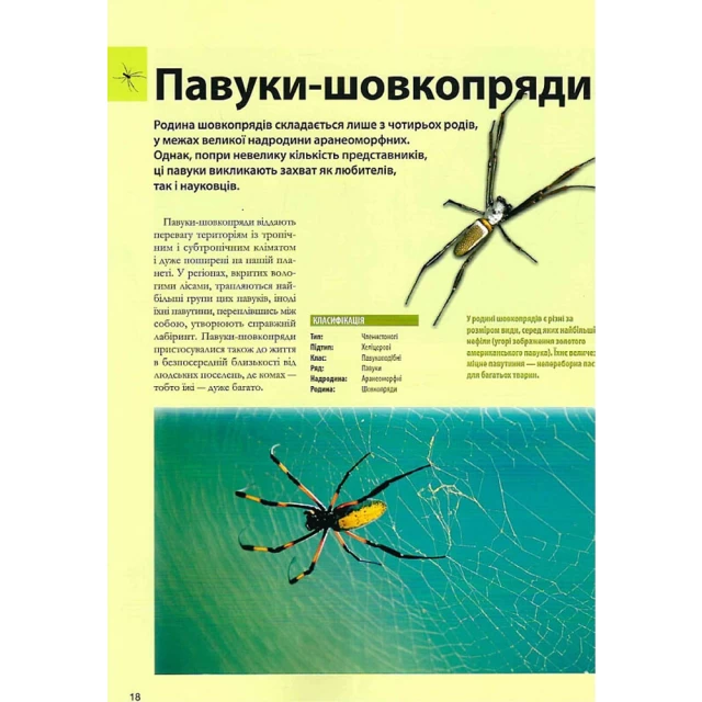 Книга Велика книга комах - Рубен Дуро