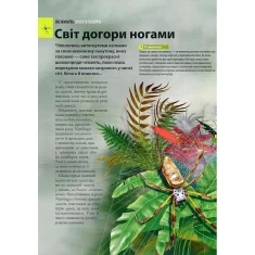 Книга Велика книга комах - Рубен Дуро Книга Велика книга комах - Рубен Дуро