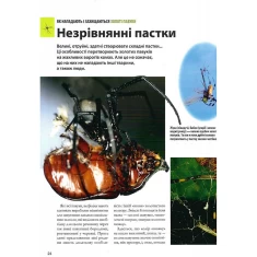 Книга Велика книга комах - Рубен Дуро Книга Велика книга комах - Рубен Дуро