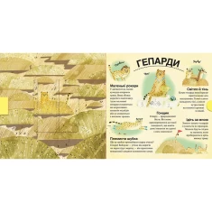 Книга Хто ховається між листям й у воді? - Павла Ганачкова