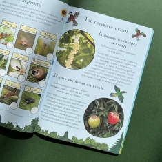 Книга Ґруффало. Весняними та літніми стежками - Джулія Дональдсон