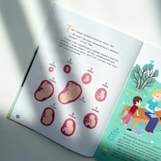 Книга Енциклопедія статевого життя. 4-6 років - Ізабель Фужер