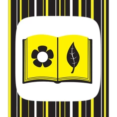 Книга Ку-ку-сі. Контрастна книжка для немовляти