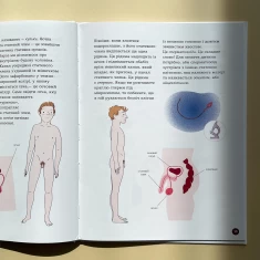 Книга Енциклопедія статевого життя. 7-9 років - Крістіан Верду, Жан Коен, Жаклін Кан-Натан