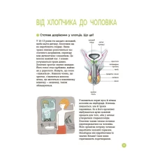 Книга Енциклопедія статевого життя. 10-13 років - Жаклін Кан-Натан, Жан Коен, Крістіан Верду