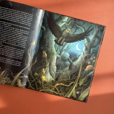Книга Шустрик - Мар'яна Князевич Книга Шустрик - Мар'яна Князевич