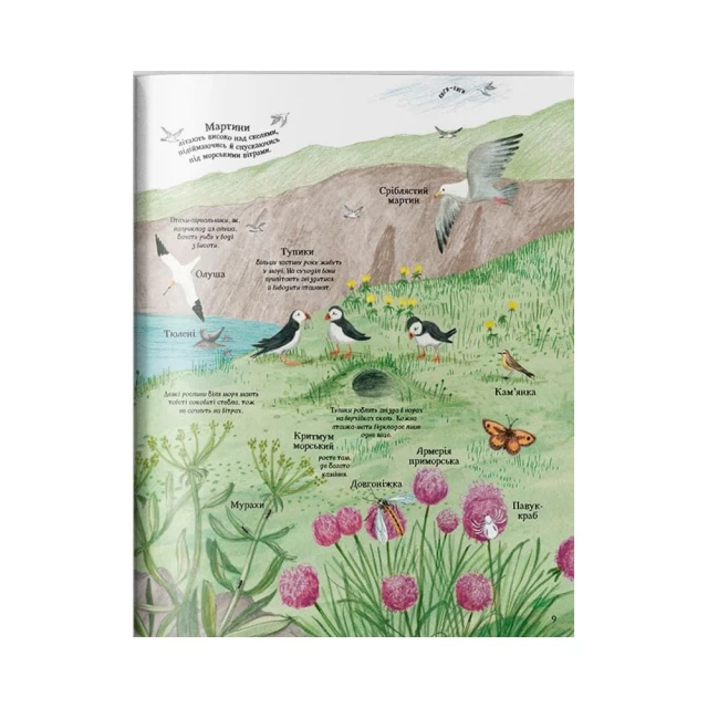 Книга Велика ілюстрована книга про природу - Міннаі Лейсі
